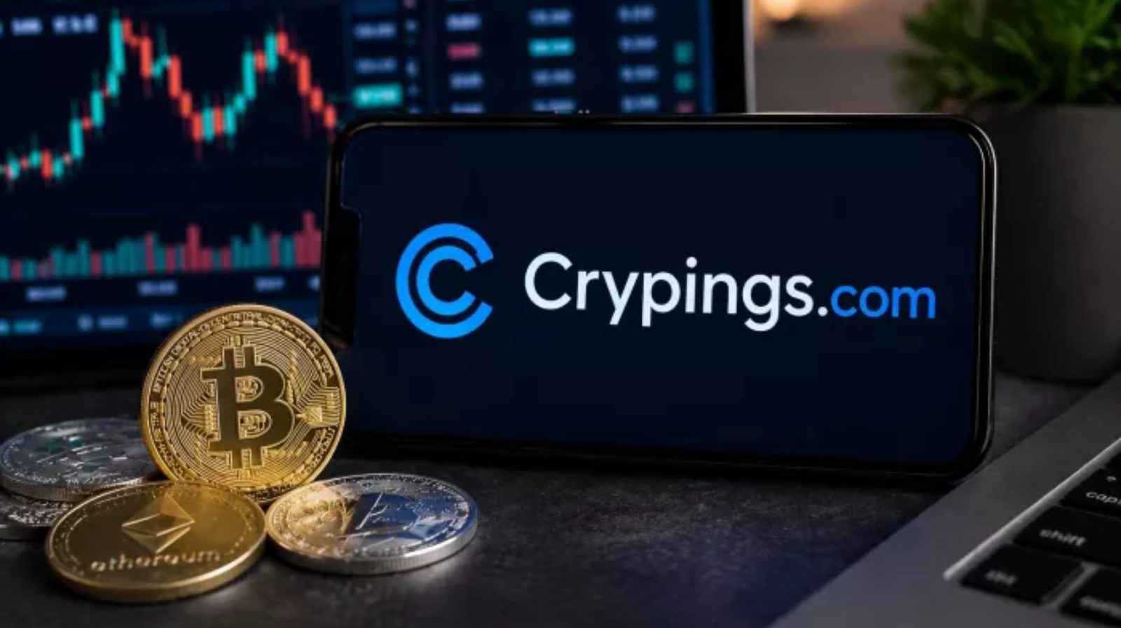 Crypings.com